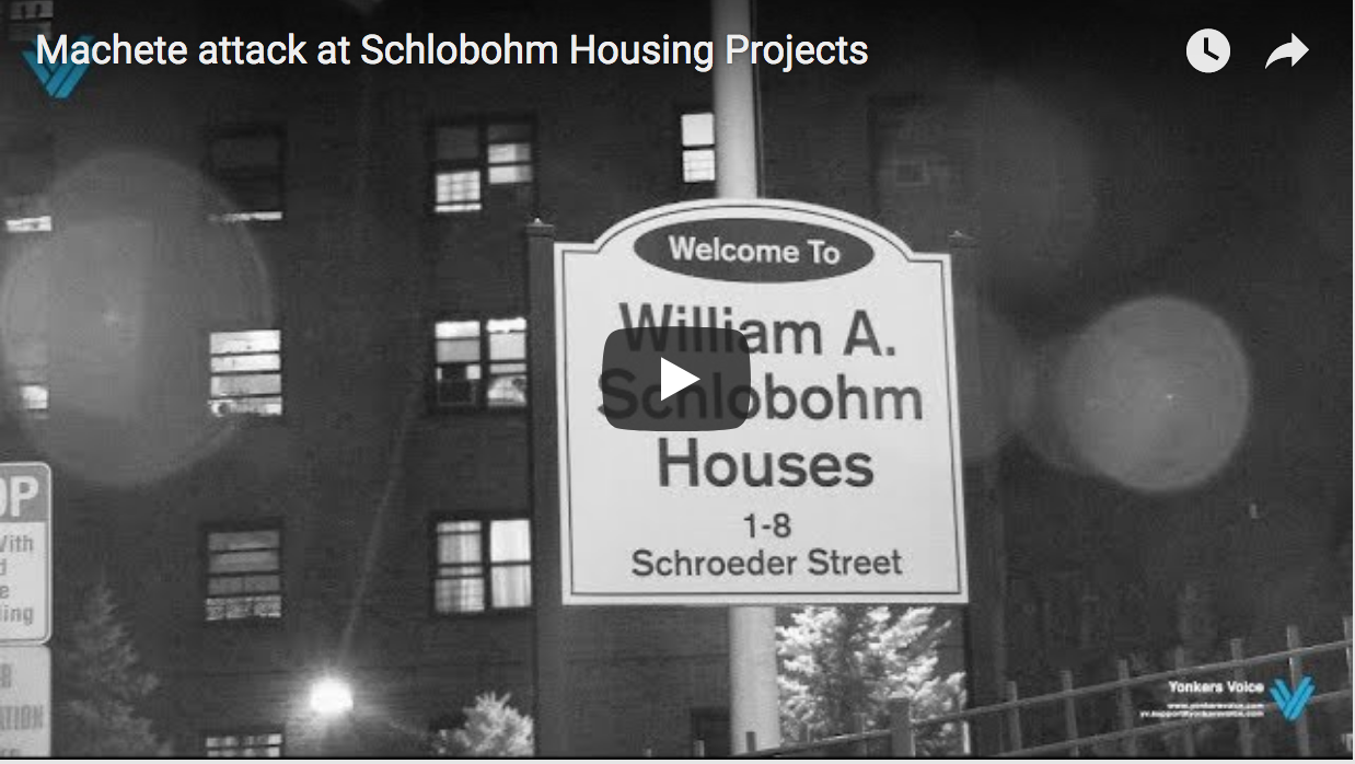 Machete attack at Schlobohm Housing Project Yonkers Voice